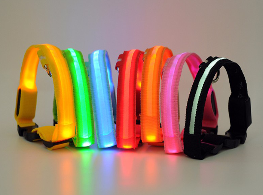 JoleyDogs - Led Collar