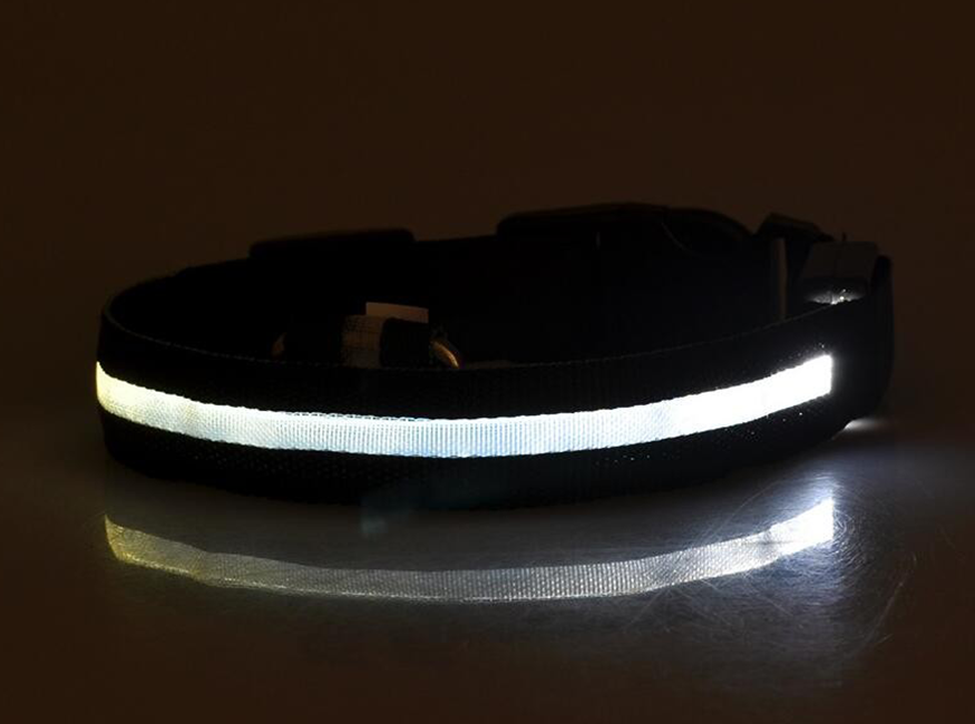 JoleyDogs - Led Collar