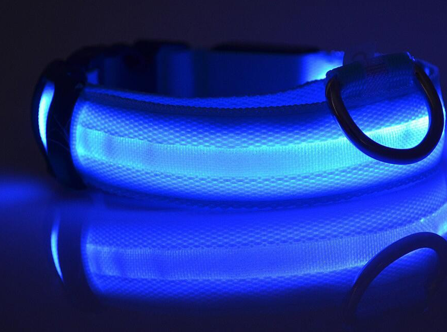 JoleyDogs - Led Collar