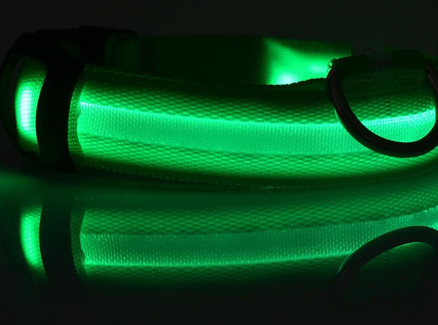 JoleyDogs - Led Collar