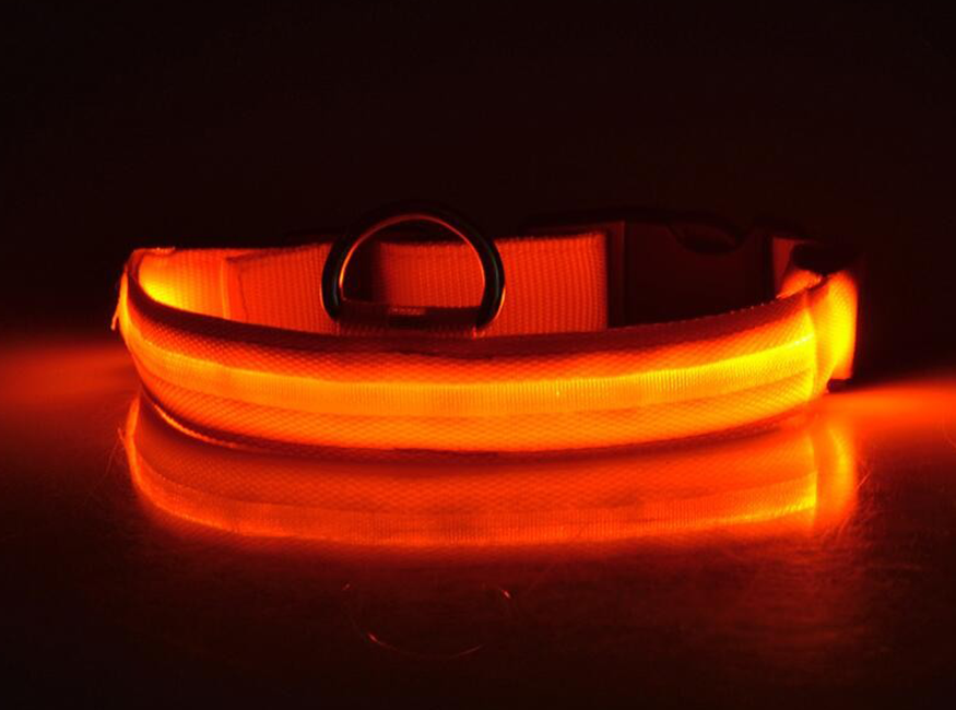 JoleyDogs - Led Collar