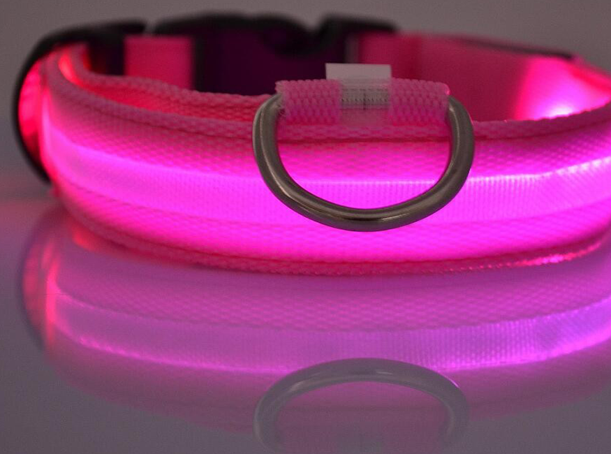 JoleyDogs - Led Collar
