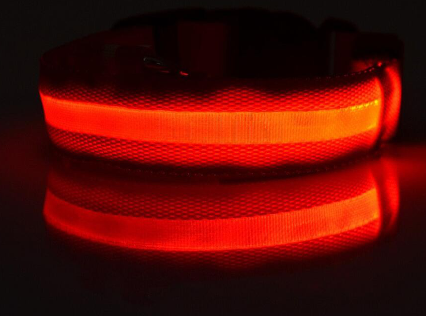 JoleyDogs - Led Collar