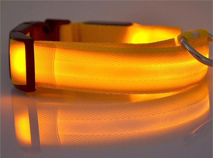 JoleyDogs - Led Collar